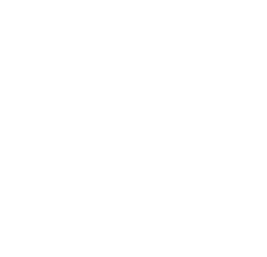 Hidden Society Logo